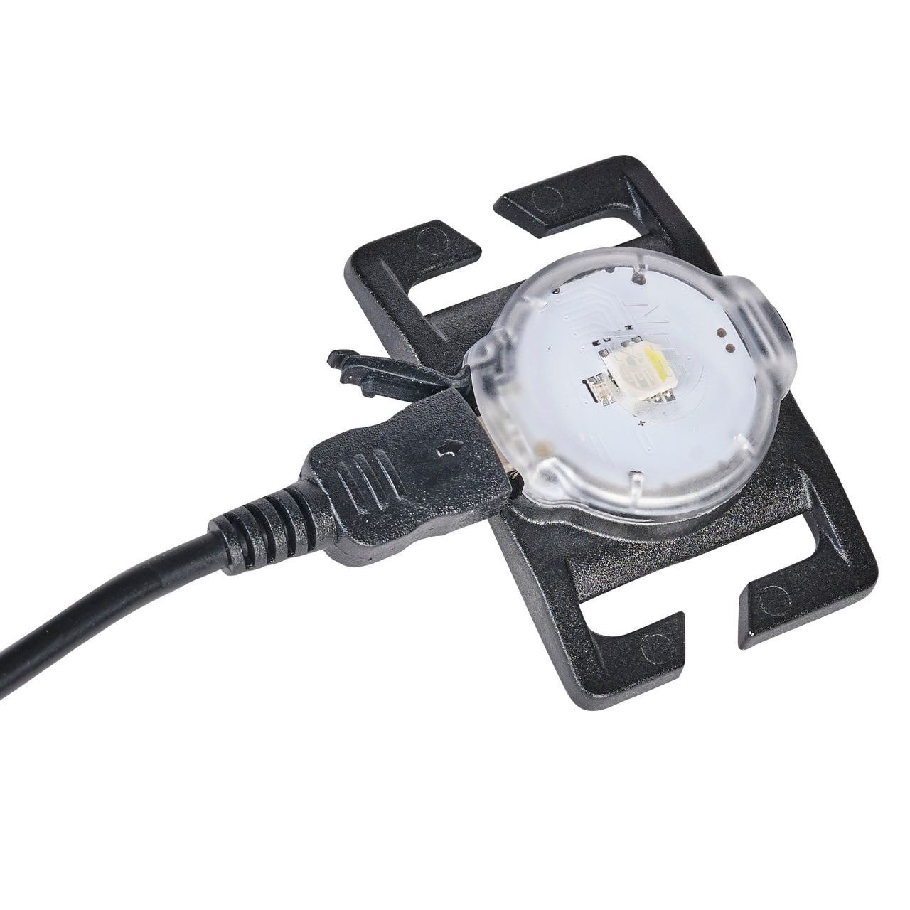NiteDog™ Rechargeable Pet Light