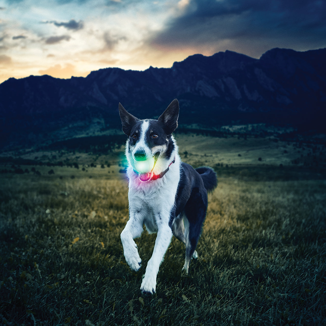 GlowStreak™ LED Ball