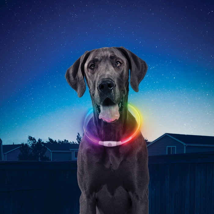 NiteHowl® LED Safety Necklace - Rechargeable