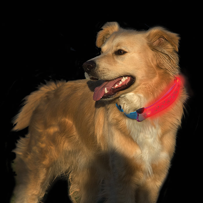 Nite Dawg® LED Collar Cover