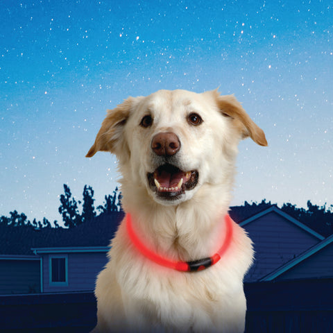 NiteHowl™ LED Safety Necklace