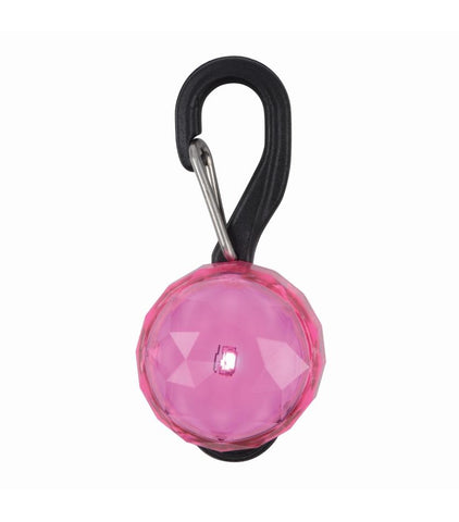 PetLit® LED Collar Light - neiteizeify