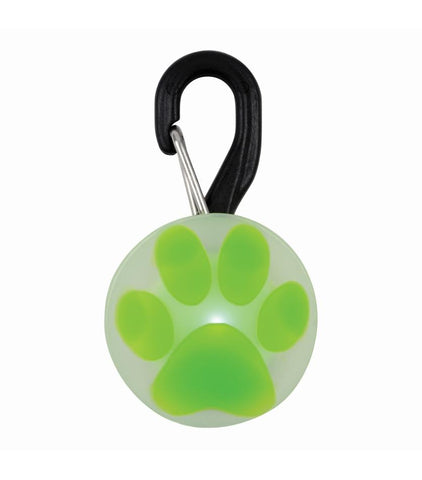 PetLit® LED Collar Light - neiteizeify